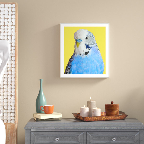 World Menagerie Birdie Portraits Single Picture Frame Giclee Print Wayfair